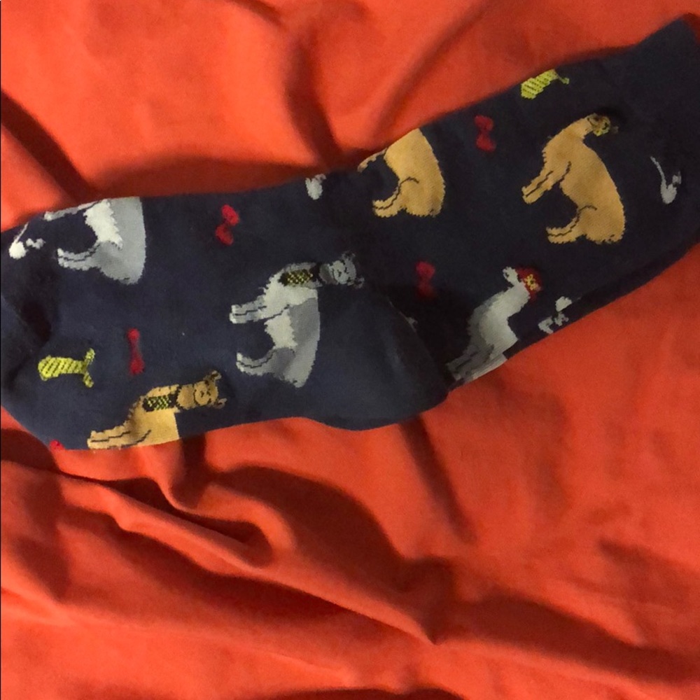 J. Crew dress socks